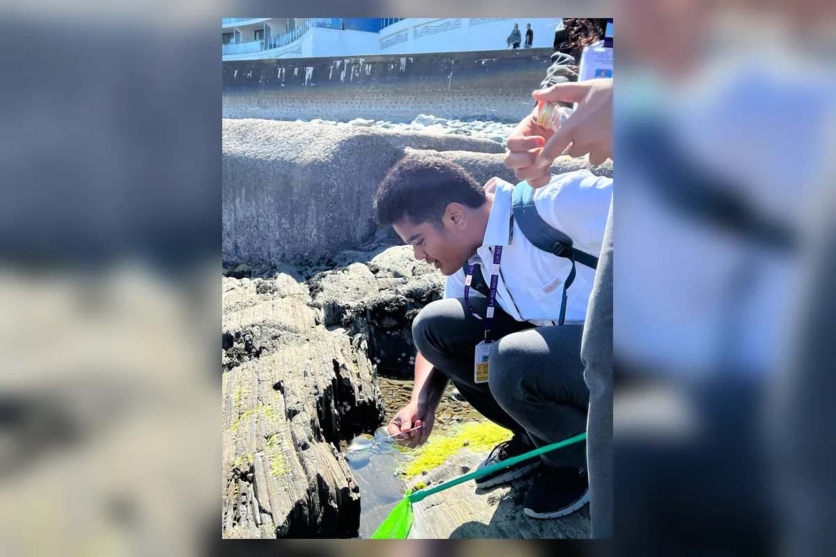 Student examining a rock pool during supervised marine biology fieldwork