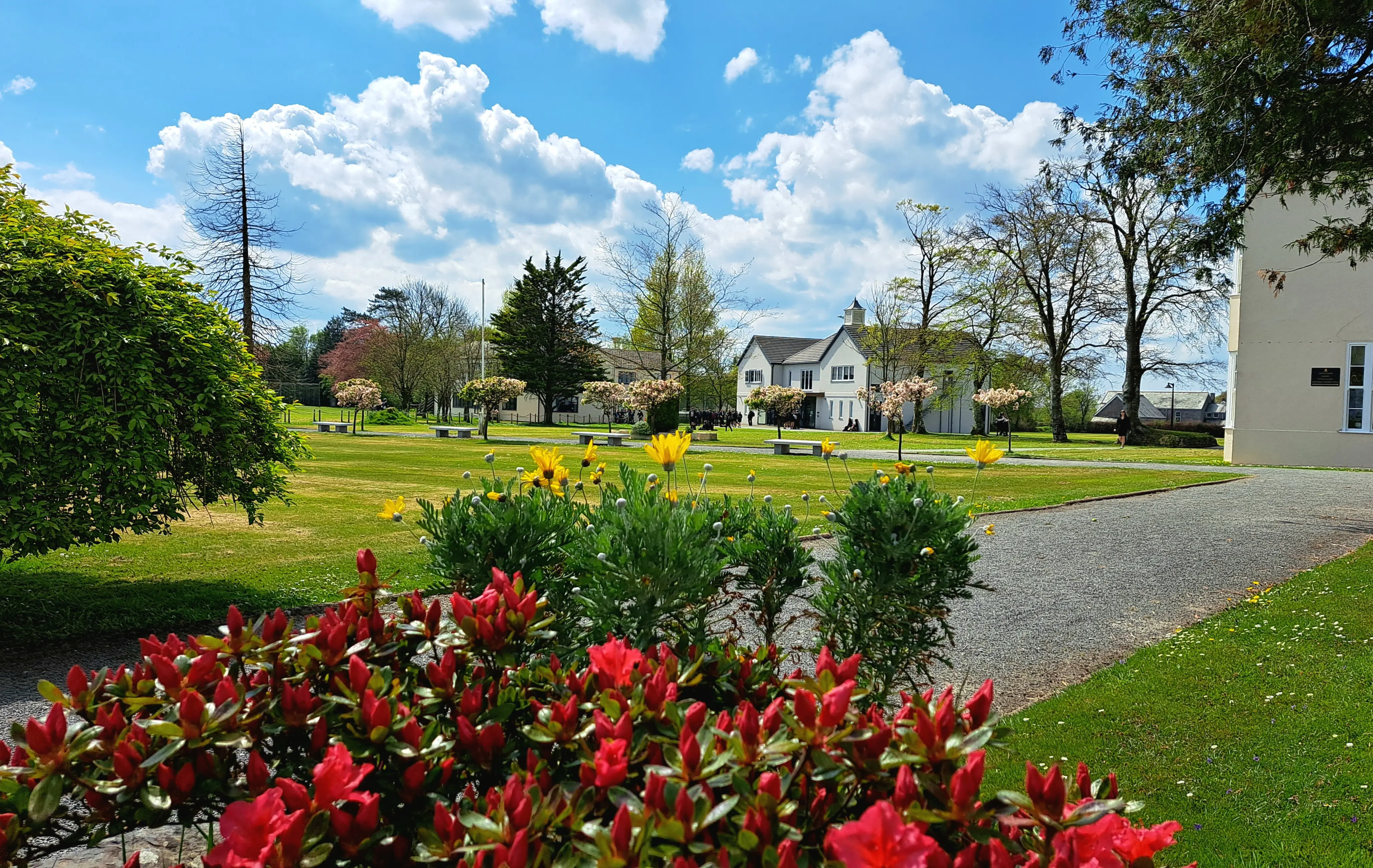 Campus photograph 2